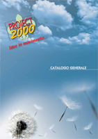 Project 2000